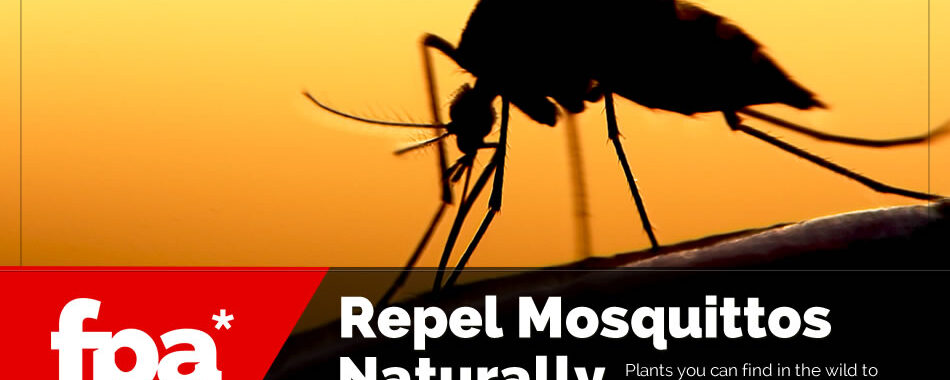 7 Natural Mosquito Repellent Plants