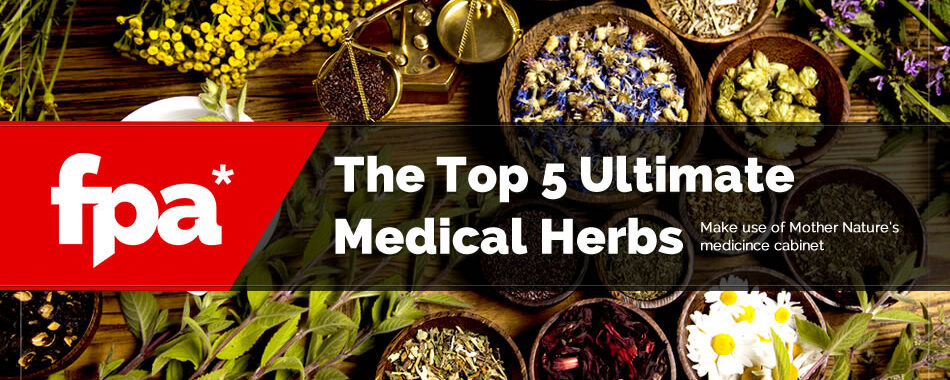 The Top 5 Ultimate Medicinal Herbs For Your Bug Out Bag