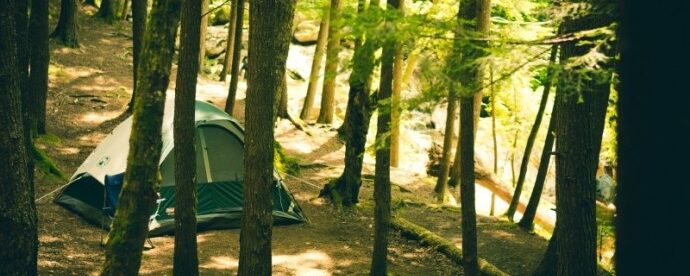 Family Camping for Beginners