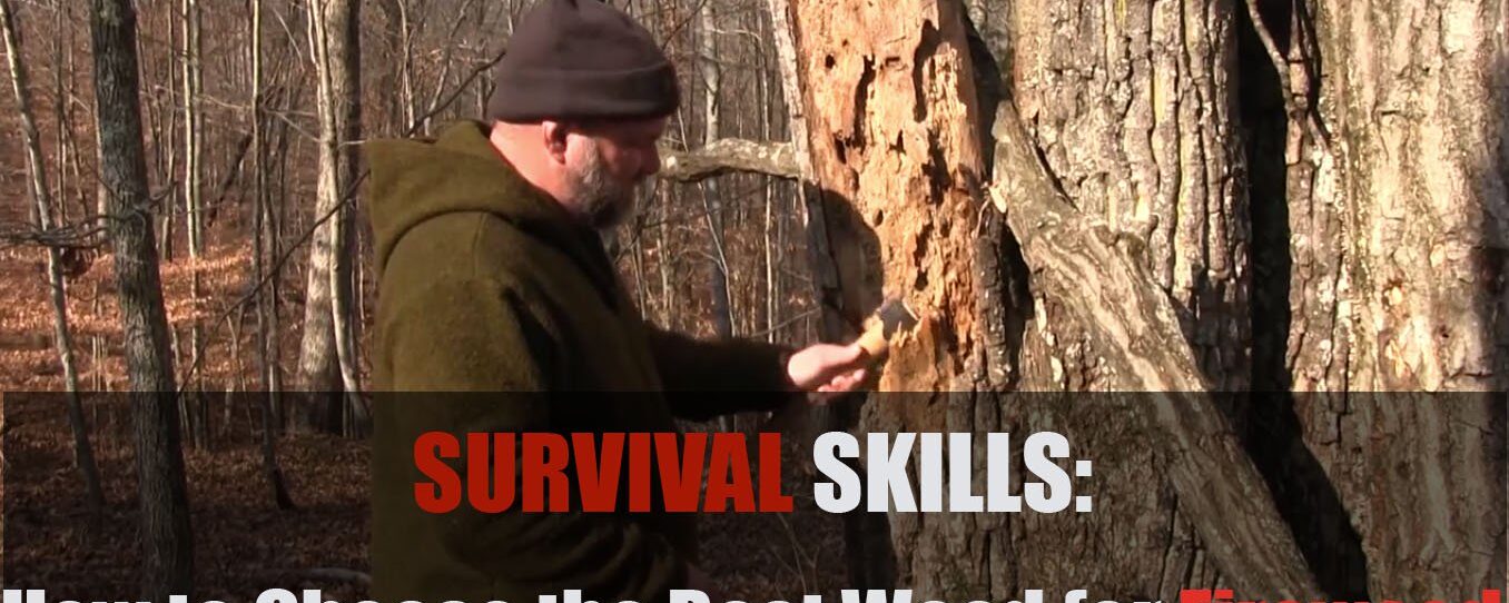 Survival Skills: How to Choose the Best Wood for Firewood